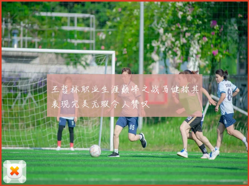 王哲林职业生涯巅峰之战马健称其表现完美无瑕令人赞叹